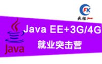 Java EE+3G/4GҵͻӪ